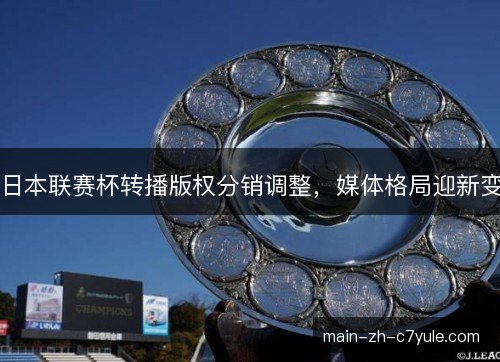 日本联赛杯转播版权分销调整,媒体格局迎新变 日本联赛杯转播版权分销调整,媒体格局迎新变